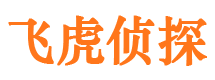 南城市私家侦探